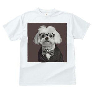 }`[Y TVc fB[X t@  t  vg JWA 킢 lԗp h ̃fUC ʔ lN^C }`[Y X[c ዾ