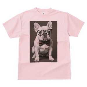 t`uhbO TVc fB[X t@  t  vg JWA 킢 lԗp h ̃fUC ʔ lN^C t`uhbO ዾ