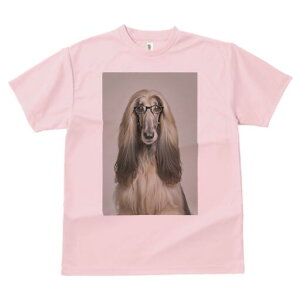 AtKnEh TVc fB[X t@  t  vg JWA 킢 lԗp h ̃fUC ʔ Kl AtKnEh pKl