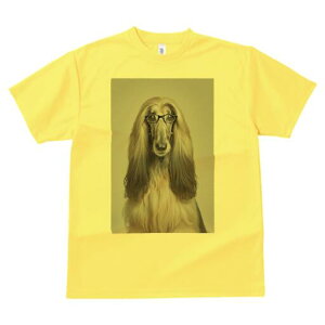 AtKnEh TVc fB[X t@  t  vg JWA 킢 lԗp h ̃fUC ʔ Kl AtKnEh pKl