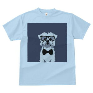 }`[Y TVc Y LbY t@  t  vg JWA 킢 lԗp h ̃fUC ʔ Kl }`[Y lN^C