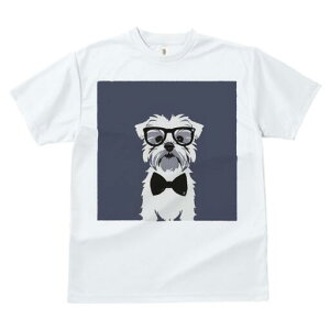 }`[Y TVc fB[X t@  t  vg JWA 킢 lԗp h ̃fUC ʔ Kl }`[Y lN^C