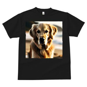 S[fgo[ TVc fB[X t@  t  vg JWA 킢 lԗp h ̃fUC ʔ S[fgo[