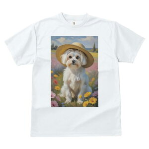 }`[Y TVc fB[X t@  t  vg JWA 킢 lԗp h ̃fUC ʔ Xq }`[Y Ԕ i