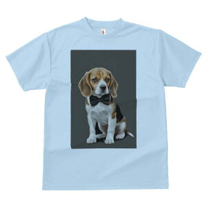 r[O TVc fB[X t@  t  vg JWA 킢 lԗp h ̃fUC ʔ lN^C r[O