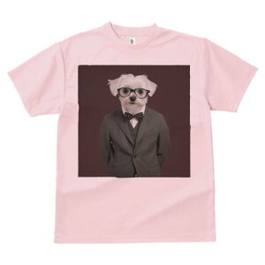 }`[Y TVc fB[X t@  t  vg JWA 킢 lԗp h ̃fUC ʔ X[c }`[Y lN^C ዾ