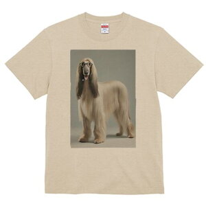 AtKnEh TVc fB[X t@  t  vg JWA 킢 lԗp h ̃fUC ʔ Kl AtKnEh