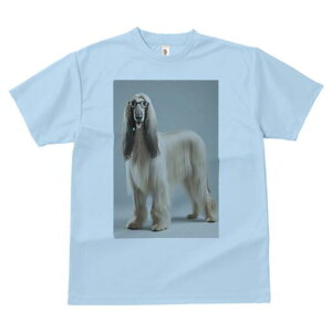 AtKnEh TVc fB[X t@  t  vg JWA 킢 lԗp h ̃fUC ʔ Kl AtKnEh