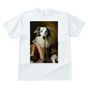 {]C TVc fB[X t@  t  vg JWA 킢 lԗp h ̃fUC ʔ ё {]C lTX ߑ hX