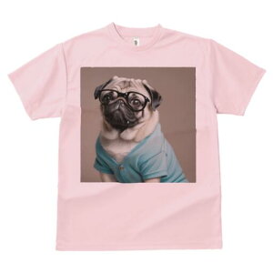 pO TVc fB[X t@  t  vg JWA 킢 lԗp h ̃fUC ʔ Kl pO 