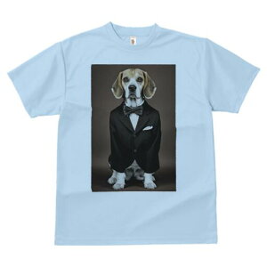 r[O TVc fB[X t@  t  vg JWA 킢 lԗp h ̃fUC ʔ ^LV[h r[O lN^C X[c tH[}EFA