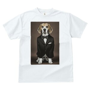 r[O TVc fB[X t@  t  vg JWA 킢 lԗp h ̃fUC ʔ ^LV[h r[O lN^C X[c tH[}EFA