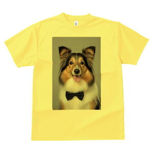 VFbghV[vhbO TVc fB[X t@  t  vg JWA 킢 lԗp h ̃fUC ʔ lN^C VFbghV[vhbO