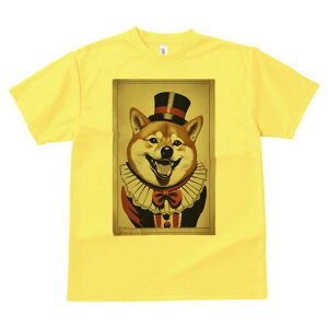 Č TVc fB[X t@  t  vg JWA 킢 lԗp h ̃fUC ʔ Xq Č { T[JX