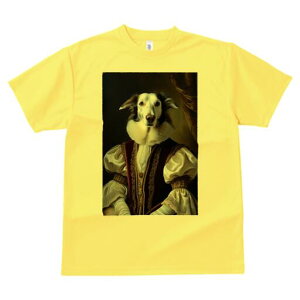 {]C TVc fB[X t@  t  vg JWA 킢 lԗp h ̃fUC ʔ  {]C lTX M ߑ