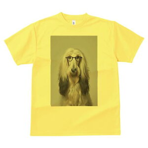 AtKnEh TVc fB[X t@  t  vg JWA 킢 lԗp h ̃fUC ʔ Kl AtKnEh