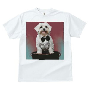 }`[Y TVc fB[X t@  t  vg JWA 킢 lԗp h ̃fUC ʔ lN^C }`[Y ^LV[h