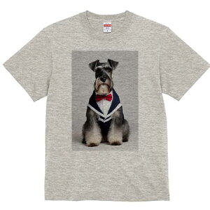 ~j`AViEU[ TVc fB[X t@  t  vg JWA 킢 lԗp h ̃fUC ʔ lN^C ~j`AViEU[ X[c