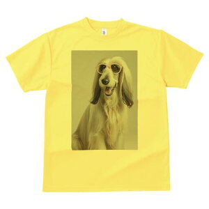 AtKnEh TVc fB[X t@  t  vg JWA 킢 lԗp h ̃fUC ʔ Kl AtKnEh