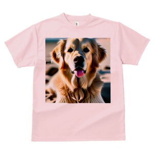 S[fgo[ TVc fB[X t@  t  vg JWA 킢 lԗp h ̃fUC ʔ S[fgo[