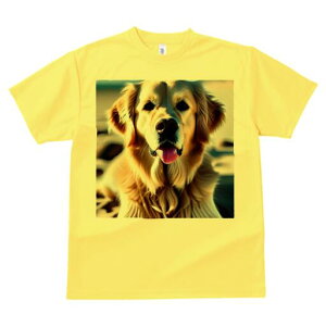 S[fgo[ TVc fB[X t@  t  vg JWA 킢 lԗp h ̃fUC ʔ S[fgo[