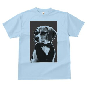 r[O TVc fB[X t@  t  vg JWA 킢 lԗp h ̃fUC ʔ Kl r[O lN^C xXg Vc