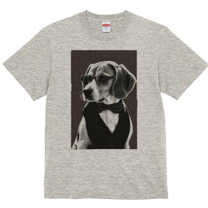 r[O TVc fB[X t@  t  vg JWA 킢 lԗp h ̃fUC ʔ Kl r[O lN^C xXg Vc