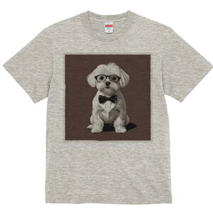 }`[Y TVc fB[X t@  t  vg JWA 킢 lԗp h ̃fUC ʔ Kl }`[Y lN^C Vc