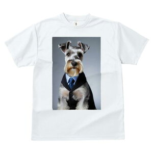 ~j`AViEU[ TVc fB[X t@  t  vg JWA 킢 lԗp h ̃fUC ʔ X[c ~j`AViEU[ lN^C V