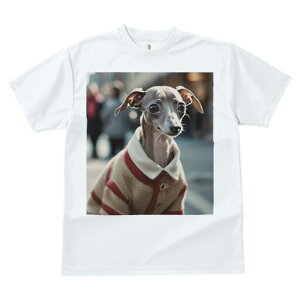 C^AO[nEh TVc fB[X t@  t  vg JWA 킢 lԗp h ̃fUC ʔ Z[^[ C^AO[nEh 