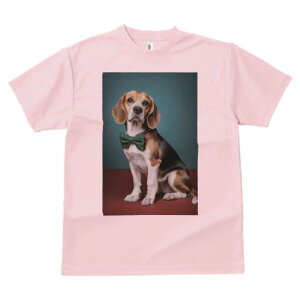 r[O TVc fB[X t@  t  vg JWA 킢 lԗp h ̃fUC ʔ lN^C r[O