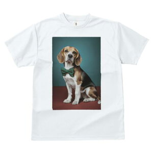 r[O TVc fB[X t@  t  vg JWA 킢 lԗp h ̃fUC ʔ lN^C r[O