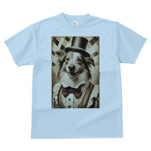 {[_[R[ TVc fB[X t@  t  vg JWA 킢 lԗp h ̃fUC ʔ Xq {[_[R[ lN^C xXg XgCv