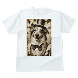 {[_[R[ TVc fB[X t@  t  vg JWA 킢 lԗp h ̃fUC ʔ Xq {[_[R[ lN^C xXg XgCv