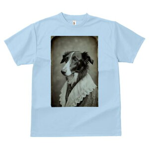 {]C TVc fB[X t@  t  vg JWA 킢 lԗp h ̃fUC ʔ AeB[N {]C [X