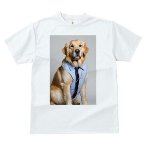 S[fgo[ TVc fB[X t@  t  vg JWA 킢 lԗp h ̃fUC ʔ rWlX S[fgo[ d lN^C V