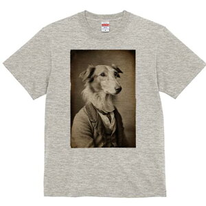 {]C TVc fB[X t@  t  vg JWA 킢 lԗp h ̃fUC ʔ WPbg {]C X[c 