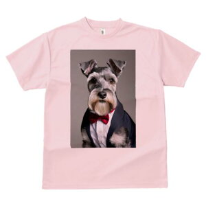 ~j`AViEU[ TVc fB[X t@  t  vg JWA 킢 lԗp h ̃fUC ʔ lN^C ~j`AViEU[ X[c V