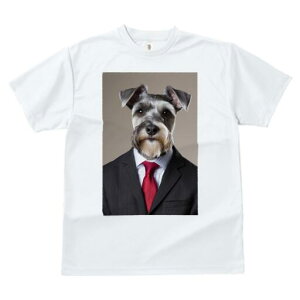 ~j`AViEU[ TVc fB[X t@  t  vg JWA 킢 lԗp h ̃fUC ʔ X[c ~j`AViEU[ lN^C rW