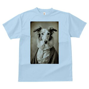 {]C TVc fB[X t@  t  vg JWA 킢 lԗp h ̃fUC ʔ ё {]C 