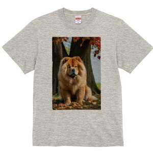 `E`E TVc fB[X t@  t  vg JWA 킢 lԗp h ̃fUC ʔ H `E`E gt 