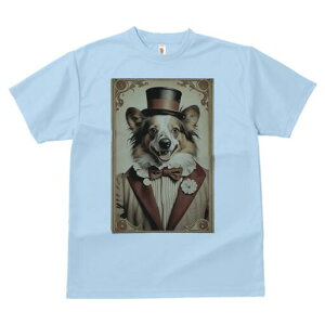 R[M[ TVc fB[X t@  t  vg JWA 킢 lԗp h ̃fUC ʔ Xq R[M[ X[c lN^C 