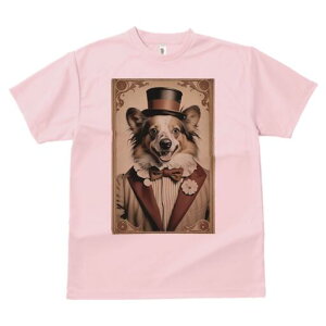 R[M[ TVc fB[X t@  t  vg JWA 킢 lԗp h ̃fUC ʔ Xq R[M[ X[c lN^C 