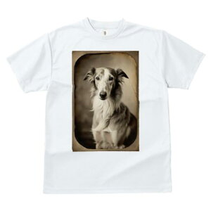 {]C TVc fB[X t@  t  vg JWA 킢 lԗp h ̃fUC ʔ AeB[N {]C g