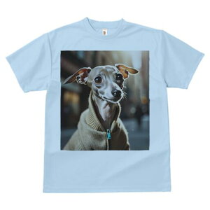 C^AO[nEh TVc fB[X t@  t  vg JWA 킢 lԗp h ̃fUC ʔ WPbg C^AO[nEh t@