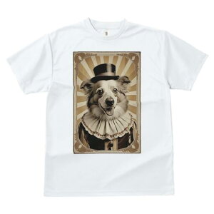 {[_[R[ TVc fB[X t@  t  vg JWA 킢 lԗp h ̃fUC ʔ T[JX {[_[R[ sG Xq g