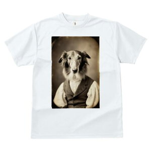 {]C TVc fB[X t@  t  vg JWA 킢 lԗp h ̃fUC ʔ AeB[N {]C g Be[W ё