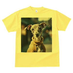 C^AO[nEh TVc fB[X t@  t  vg JWA 킢 lԗp h ̃fUC ʔ Z[^[ C^AO[nEh