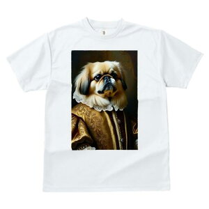 yLj[Y TVc fB[X t@  t  vg JWA 킢 lԗp h ̃fUC ʔ ё yLj[Y lTX ߑ [X