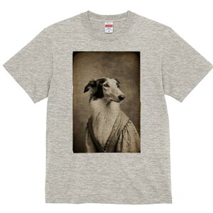 {]C TVc fB[X t@  t  vg JWA 킢 lԗp h ̃fUC ʔ AeB[N {]C g Be[W hX